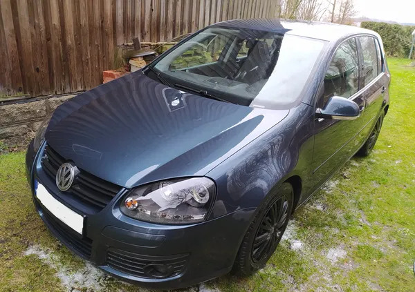 dolnośląskie Volkswagen Golf cena 15600 przebieg: 275897, rok produkcji 2006 z Drzewica